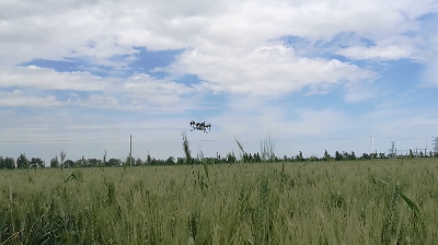 常锋天马植保无人直升机（GP6-45）新疆小麦地作